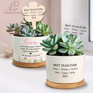 Team Appreciation Plant Pot, Team Thank You Gift, Coworker Appreciation, Custom Team Gift, Custom Team Member Gift, Employee Appreciation