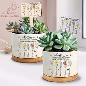 Personalized Sisters Plant Pot, Sisters Are Different Flowers From The Same Garden Plant Pot, Birthday Gifts For Sister, Sister Gifts