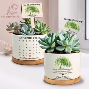 May include: Two white ceramic planters with succulents, each featuring a wooden sign that reads "Our 9th Anniversary." One planter has a calendar design for November 2016. The other has a willow tree design and the text "9 YEARS AND COUNTING."