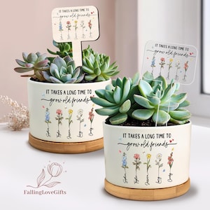 May include: Two white ceramic planters with succulents, each on a wooden base. The planters have the text "IT TAKES A LONG TIME TO grow old friends" and floral illustrations. Wooden and clear acrylic signs read the same text.
