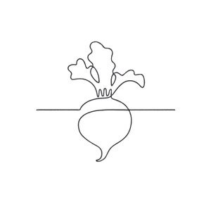 Peut inclure: Un dessin au trait noir continu représentant une betterave. L'illustration montre une forme de racine arrondie à la base avec des feuilles vers le haut, le tout traversé par une ligne horizontale droite au milieu de la betterave.