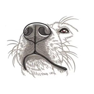 Puede incluir: Ilustración detallada de la cara de un perro, centrada en la nariz y el ojo. La nariz es negra con sombreado intrincado, y el ojo es de color marrón rojizo. El pelaje está representado en tonos grises, creando una apariencia texturizada sobre un fondo blanco.