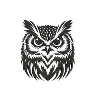 Op de afbeelding: Een zwart-witte geborduurde patch met een gestileerde uilenkop. Het ontwerp toont gedetailleerde veren, scherpe oorpluimen en grote, gefocuste ogen, wat zorgt voor een contrastrijke grafische weergave van een uilengezicht.