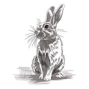 Puede incluir: Ilustración detallada en blanco y negro de un conejo sentado. El conejo tiene orejas largas, bigotes y un pelaje esponjoso. La obra de arte está realizada con un estilo detallado de sombreado cruzado, lo que le da un aspecto texturizado.