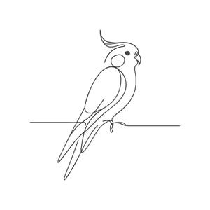 May include: A single continuous black line drawing of a cockatiel bird perched on a horizontal line. The illustration features the bird's distinct crest, a circular cheek patch, a curved beak, and a long tail, all rendered in a minimalist style.