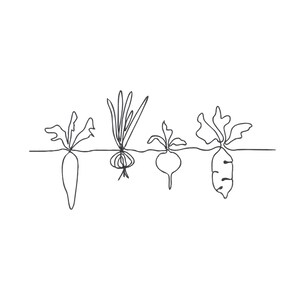 Può includere: Disegno a tratto minimalista di ortaggi a radice. L'immagine presenta una carota, una cipolla, una barbabietola e una pastinaca, ciascuna disegnata con una singola linea continua. Le verdure sono parzialmente sottoterra, con le loro cime visibili sopra il livello del suolo. Sfondo bianco.