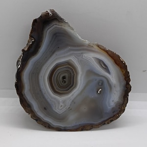 May include: A polished agate slice with concentric bands of gray, white, and brown. The natural stone has a rough, dark brown edge and a central eye-like pattern. This decorative piece is ideal for home decor or as a unique gift.