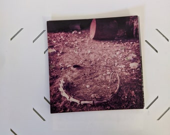 Dowlen Road Barn Rat Tail Photograph