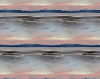 Bishop's Beach Illusion; Homer, Alaska