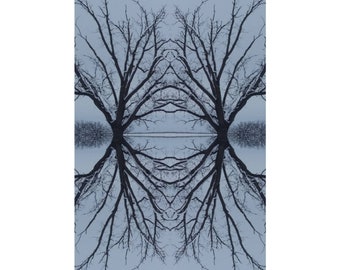 Winter Walnut; Crosby County, Texas