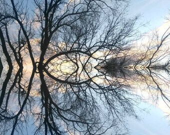 Reflection Collection.. nature's ink blots for mindful reflection