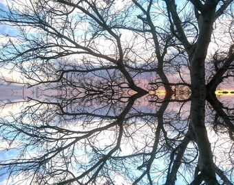 Reflection Collection.. nature's ink blots for mindful reflection