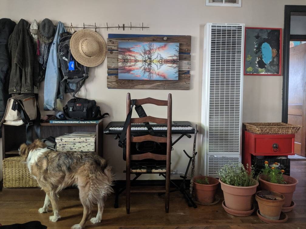 gallery photo