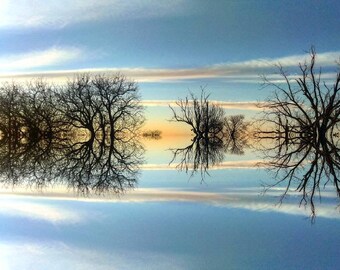 Reflection Collection.. nature's ink blots for mindful reflection