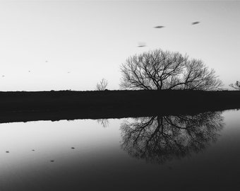 On Morrison Pond Photograph