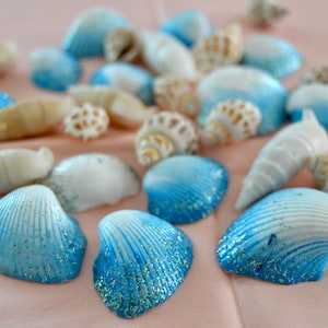 Peut inclure: Divers coquillages de différentes formes et tailles, avec une prédominance de coquillages bleus et blancs. Certains coquillages ont des bordures bleues scintillantes. L'ensemble est disposé sur une surface rose, évoquant la plage.