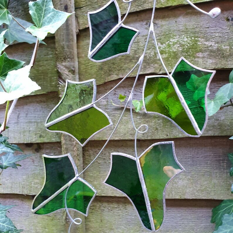Good Stained Glass Ivy 5 leaves branch plant nature tree Etsy
