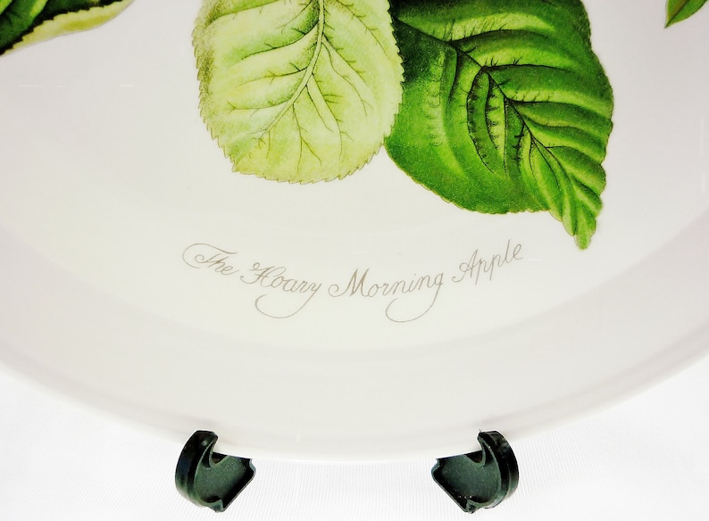 Portmeirion Pomona Rimmed Salad Plate The Hoary Morning Apple New