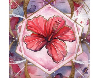 Hibiscus Art Print for The Flower Compass Deck