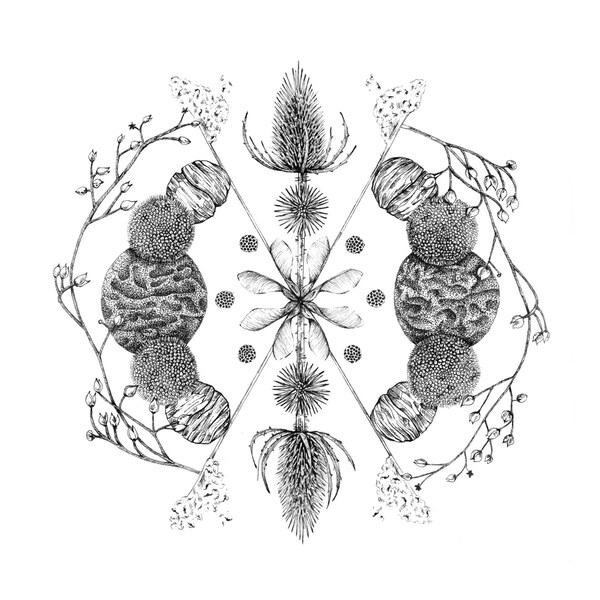 Mandala Prints - Etsy