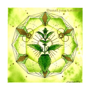 Lemon Balm Plant Spirit Print
