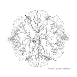 Nature Mandala: June Collection Archival Quality Print 12&quot;x12&quot;