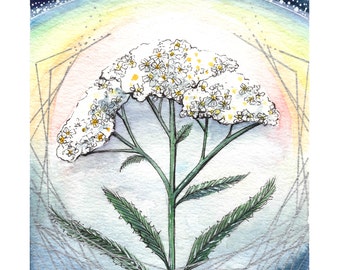 Yarrow Art Print for The Flower Compass Deck