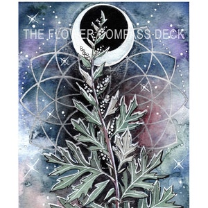 Mugwort Art Print for The Flower Compass Deck