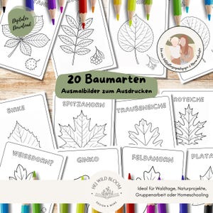 Coloring Pages of Trees, Flowers & Fruits | Native Tree Species | Learning Materials and Nature Set for Children | Printable PDF