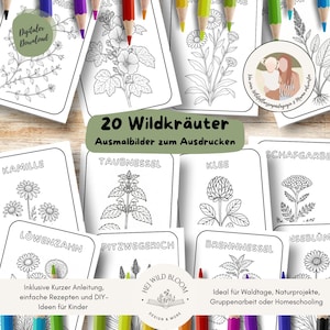 May include: A set of printable coloring pages featuring botanical illustrations, with German text. The pages are displayed on a wooden surface, with coloured pencils in the background. The text includes "20 Wildkräuter Ausmalbilder zum Ausdrucken".