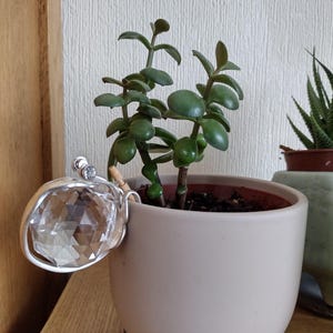 May include: A clear, multifaceted crystal suncatcher ornament with a silver-toned wire frame, attached to the rim of a smooth, light beige ceramic plant pot containing a small green succulent plant with rounded, fleshy leaves.