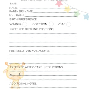 May include: A birth plan template with the text "Hello, Birth Day!" and "Labor and Delivery Preferences." It features sections for personal details, birth preferences, and after-care instructions. Decorated with pastel stars and baby-themed illustrations.