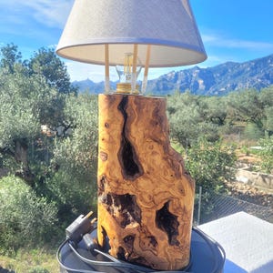 Könnte beinhalten: Eine einzigartige Tischlampe aus Holz mit einem hellgrauen Lampenschirm. Der Sockel besteht aus strukturiertem Naturholz mit dunklen Vertiefungen. Die Lampe hat einen Standardstecker und ein Kabel. Der Hintergrund zeigt einen strahlend blauen Himmel und grüne Bäume.