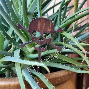 May include: A rusty metal skull and crossbones garden stake. The skull has cut-out eye sockets and a jagged mouth. The stake is inserted into a green aloe vera plant in a brown pot. The text "FTT Design & Fab" is visible.