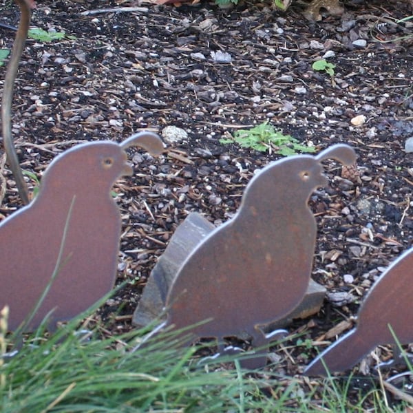 small Quail Rustic Garden Art  recycled steel custom quail family rusty yard art