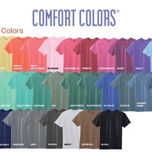 Quicksilver All Seven Gods Unisex Comfort Colors T-Shirt, Romantasy Gift, Smut Sweater, Bookish Sweater, Book Lover Gift, Kingfisher image 15