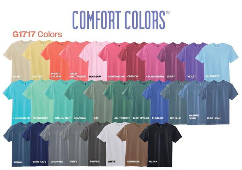 Quicksilver All Seven Gods Unisex Comfort Colors T-Shirt, Romantasy Gift, Smut Sweater, Bookish Sweater, Book Lover Gift, Kingfisher image 15
