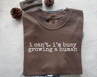 Comfort Colorsのおもしろ妊娠Tシャツ、人間を育てる
