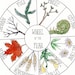 Full Moon Names Calendar | Lunar Print Artwork | Watercolor Moon Chart ...