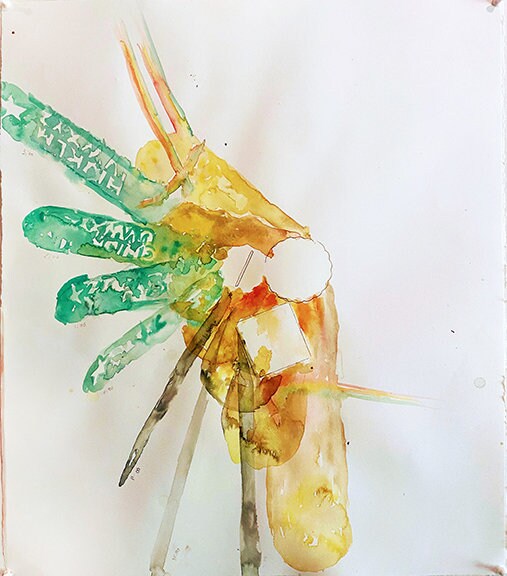 Summer solstice unit study curriculum bundle summer nature crafts
