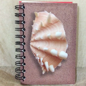 May include: A spiral bound notebook with a pink and white seashell on the cover. The cover has a textured background that resembles sand.