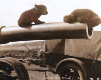 Bear Cubs on Cannon Snapshot, Little Brown Bears at Play, Sepia Photo, Vintage