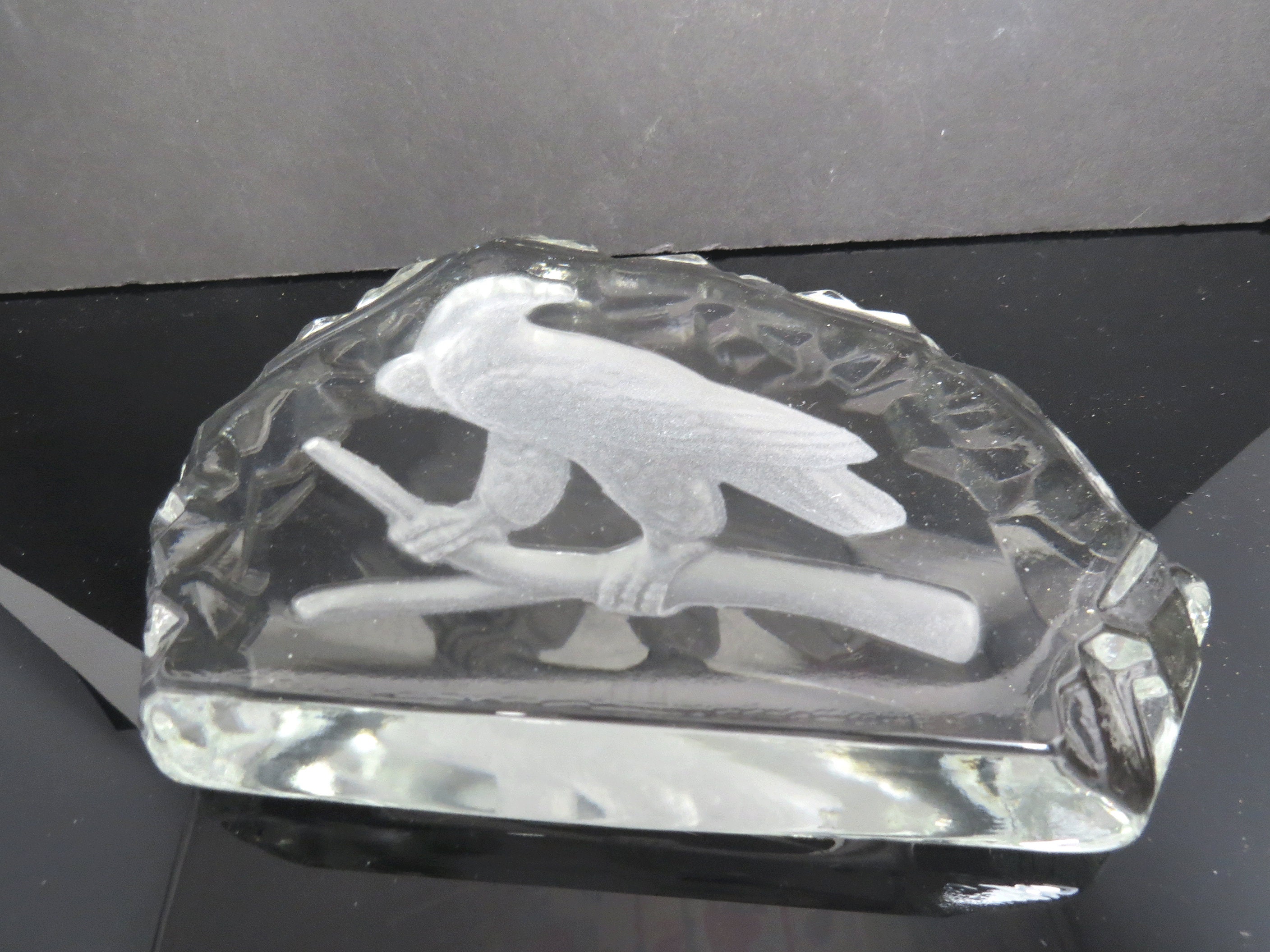 Glass Bald Eagle Paperweight Etched Reverse Design Clear | Etsy