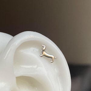 Orecchini a elica per bassotto - Mini orecchini a forma di cartilagine di bassotto in argento (coppia)
