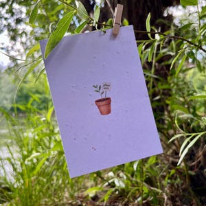 Cartão de felicitações em papel semente sem texto – feito à mão e plantável – sustentável de Viena