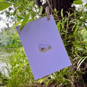 Carte de vœux en papier ensemencé sans texte – faite main et plantable – durable de Vienne