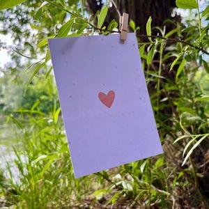 Cartão de felicitações em papel semente sem texto – feito à mão e plantável – sustentável de Viena