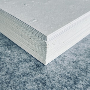 Samenpapier Bögen – Pflanzbares Papier A4 / A5 / A6 – Sets mit 8 / 24 / 40+ Stück – Umweltfreundlich & handgeschöpft