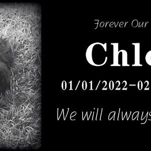 Custom Pet Memorial Stone with Photo Name & Date – Personalized Outdoor Pet Grave Marker for Dog or Cat – Garden Headstone