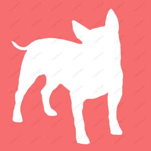 4 Bull Terrier prints, Dog Silhouette, SPRING Backgrounds, Dog Breed Art Print, Dog Lover Gift, Dog Wall Art, Modern Art Print, Unique Gifts image 4